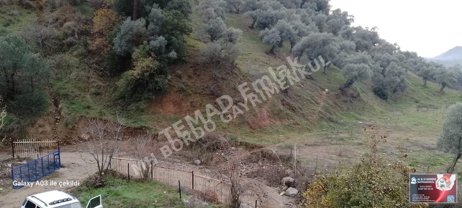 Fotoğraf