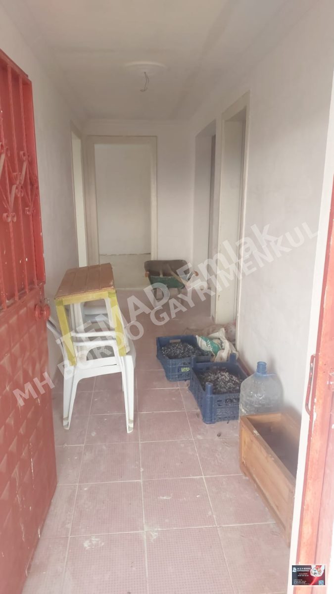 Fotoğraf
