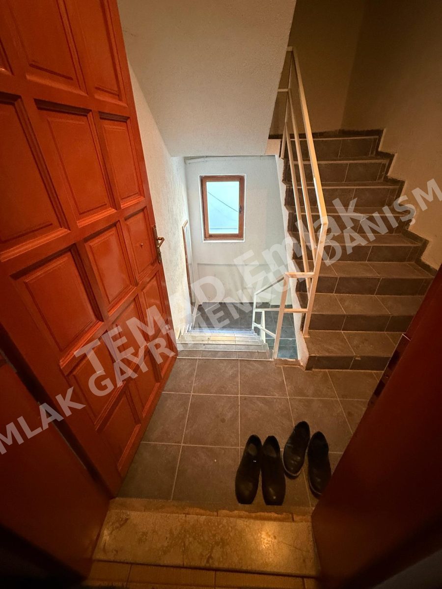 Fotoğraf
