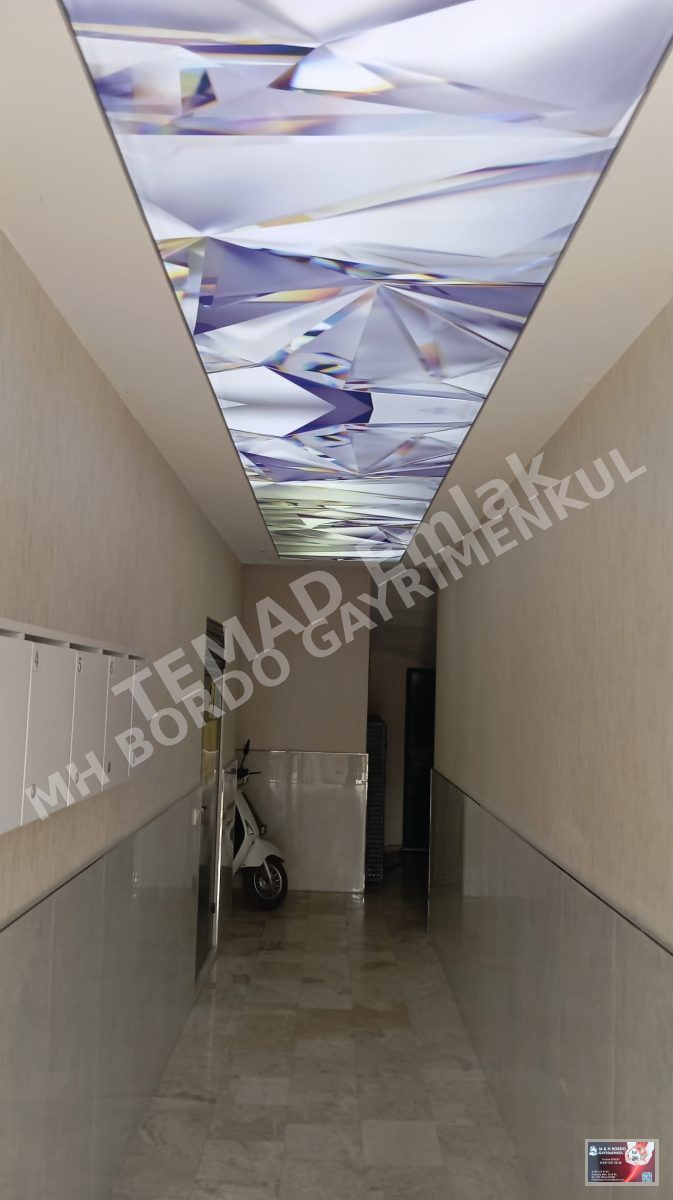 Fotoğraf