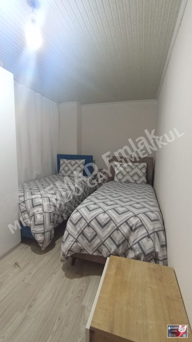 Fotoğraf