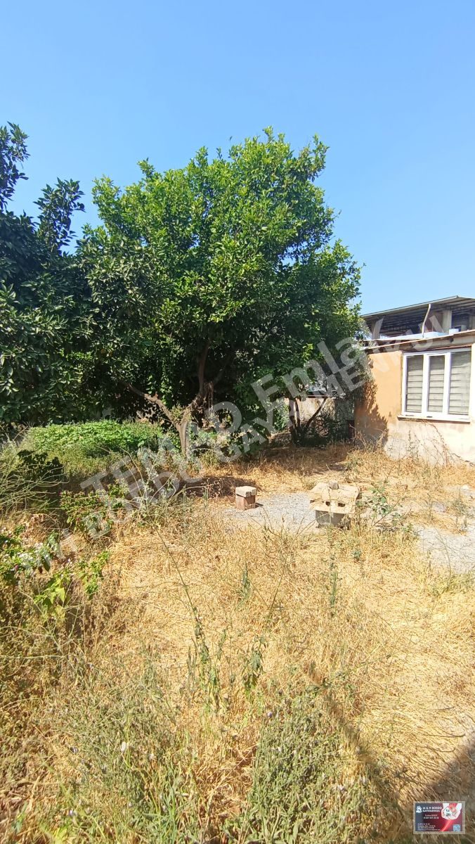 Fotoğraf