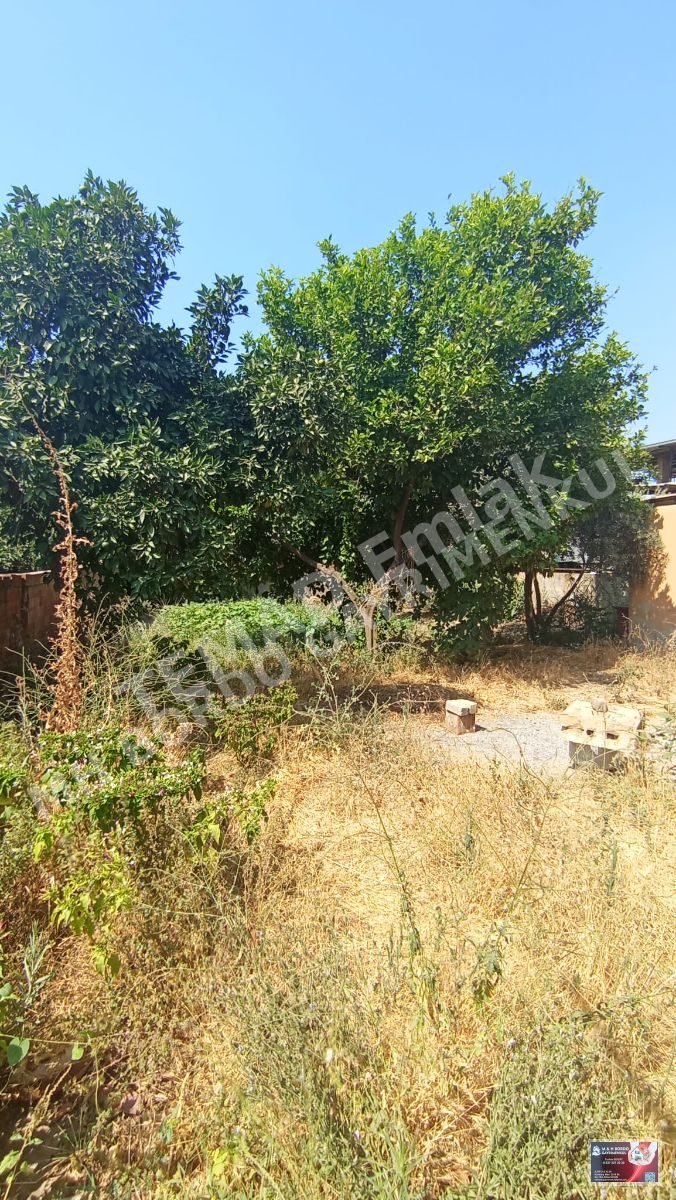 Fotoğraf