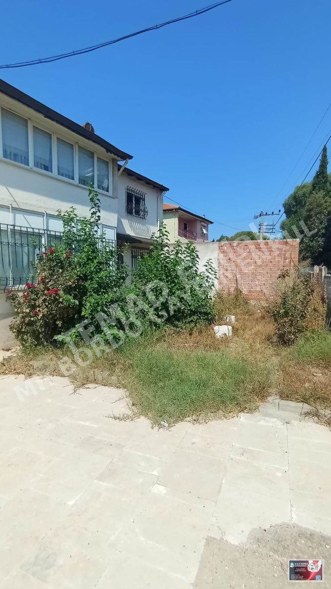 Fotoğraf