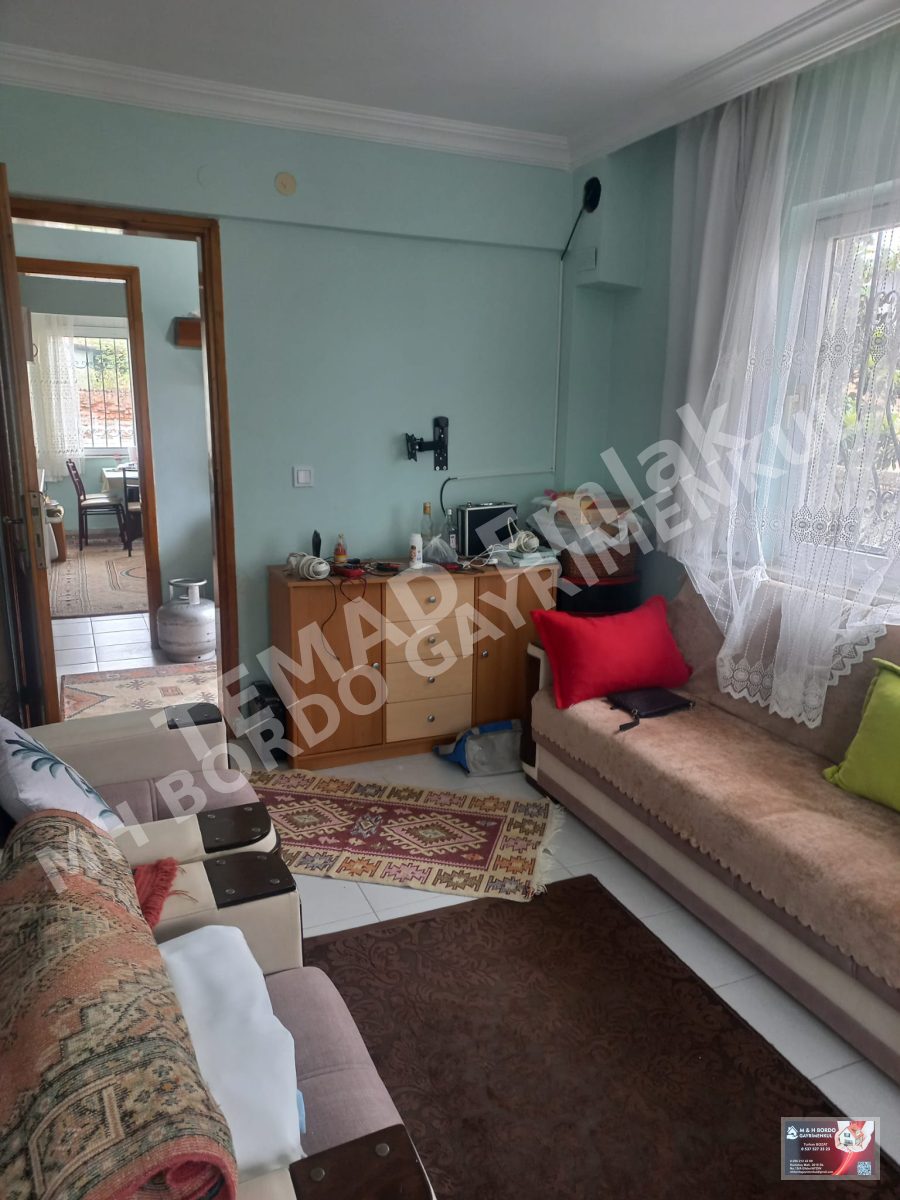 Fotoğraf