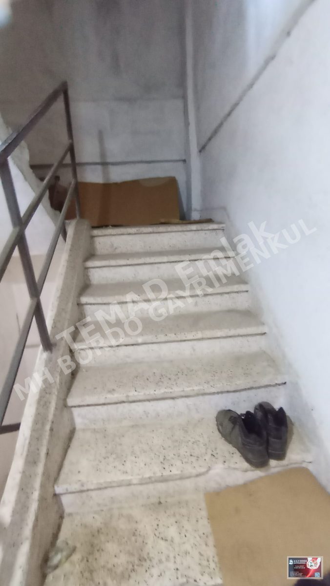 Fotoğraf