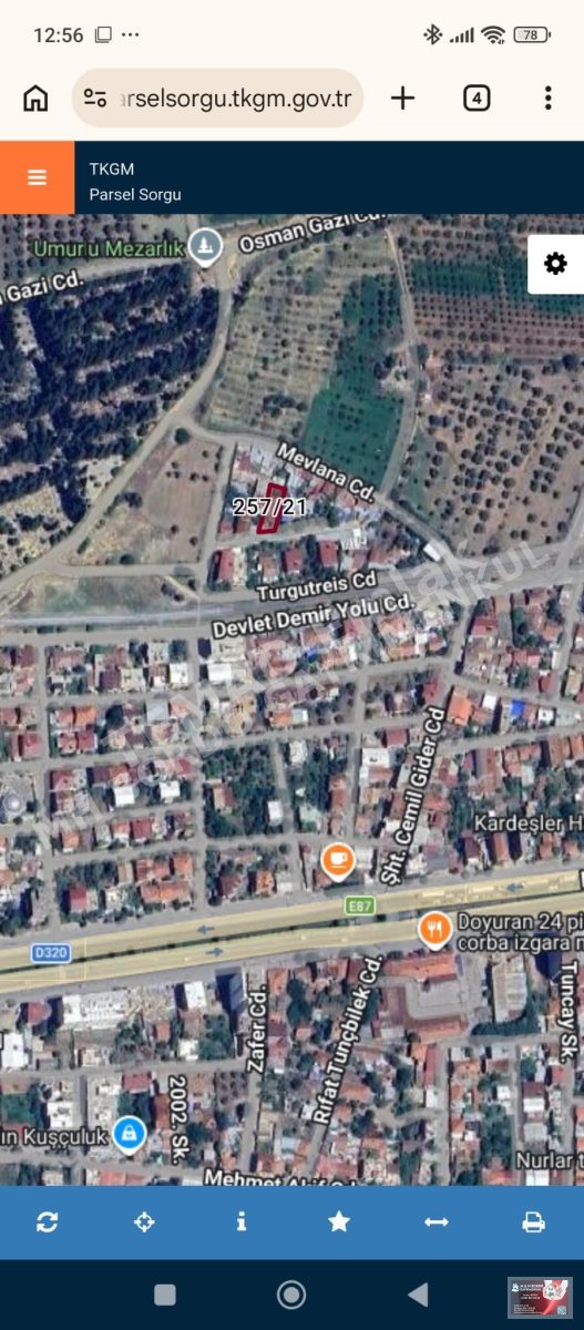 Fotoğraf