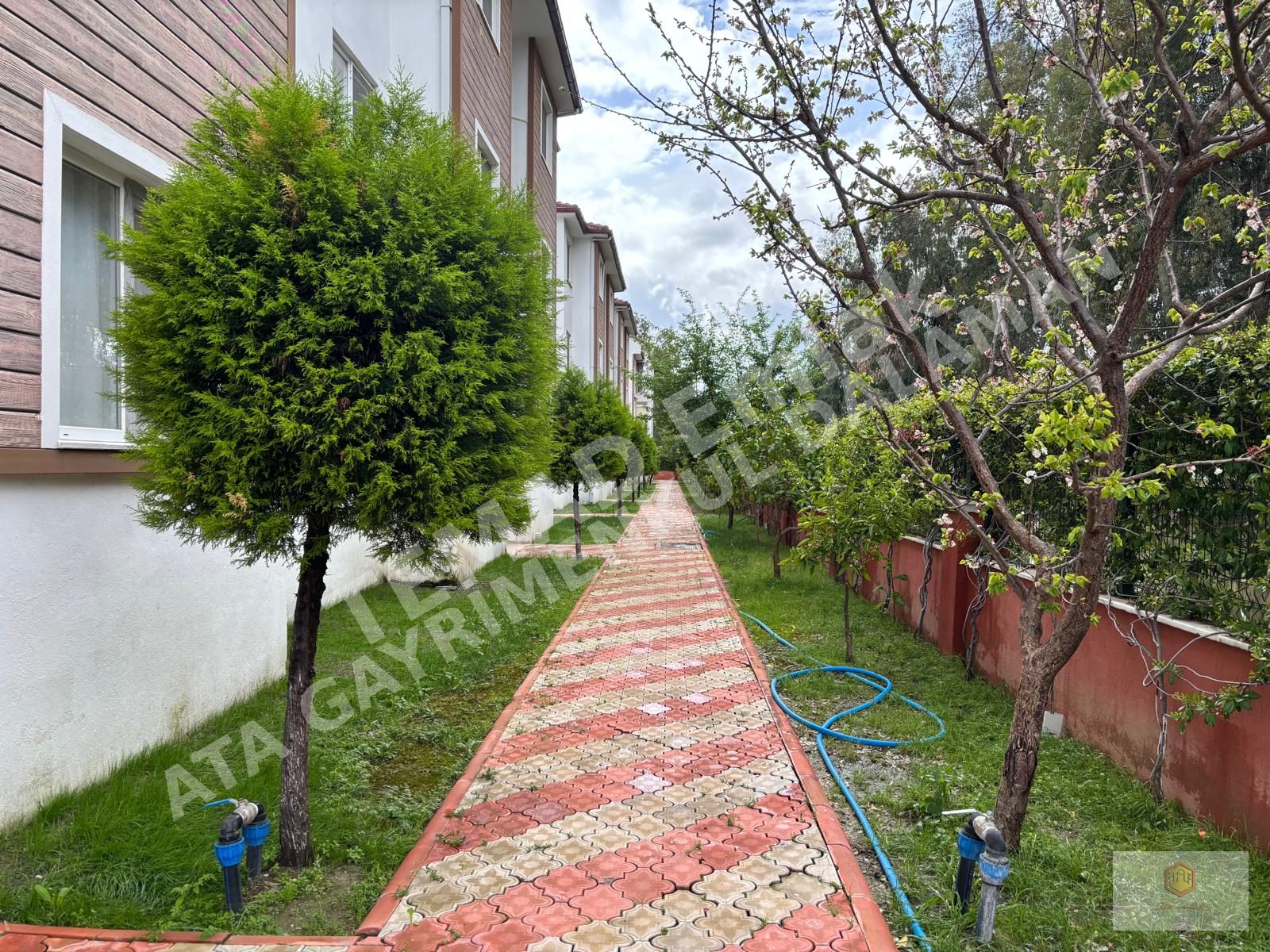 Fotoğraf