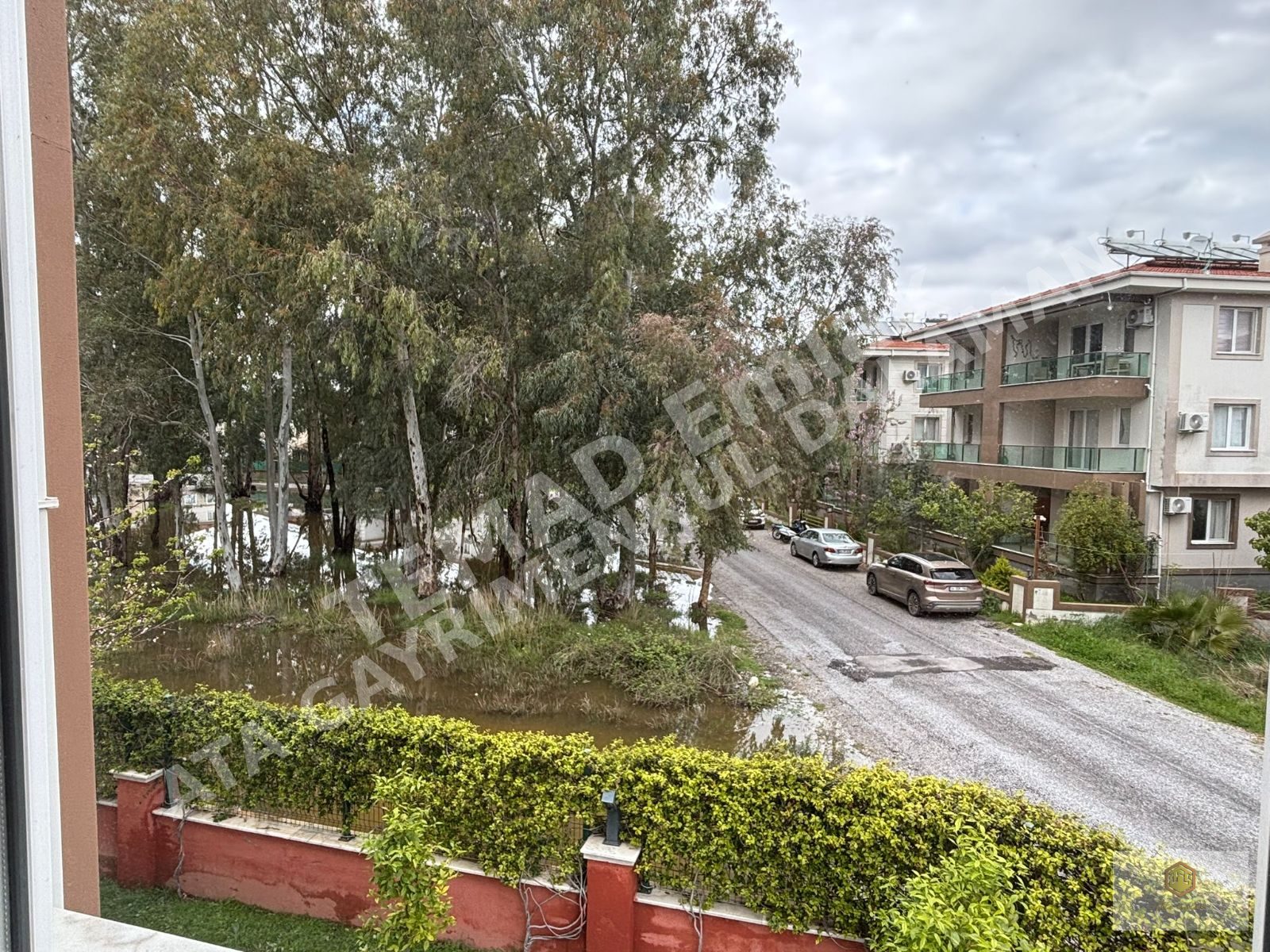 Fotoğraf