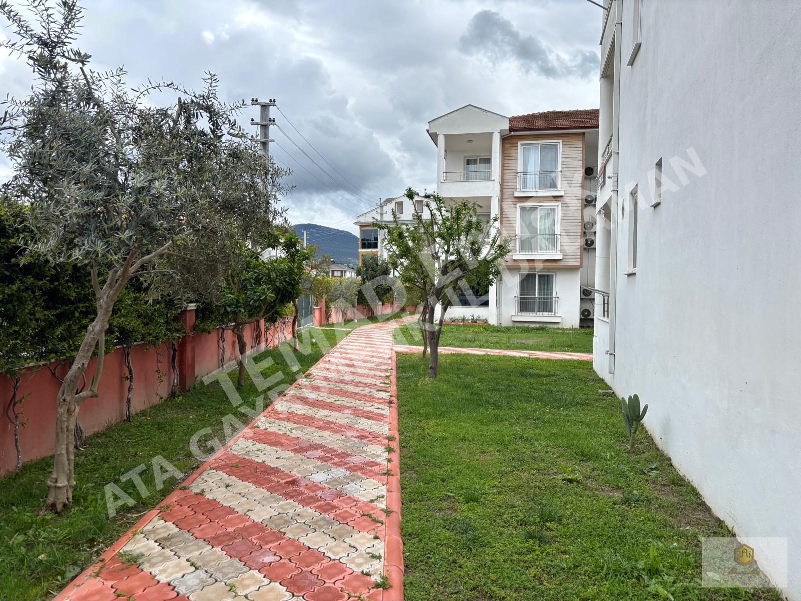 Fotoğraf