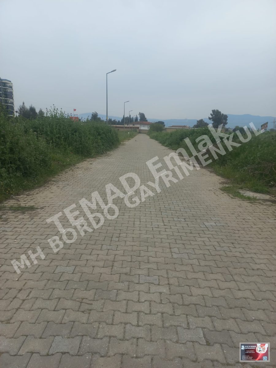Fotoğraf