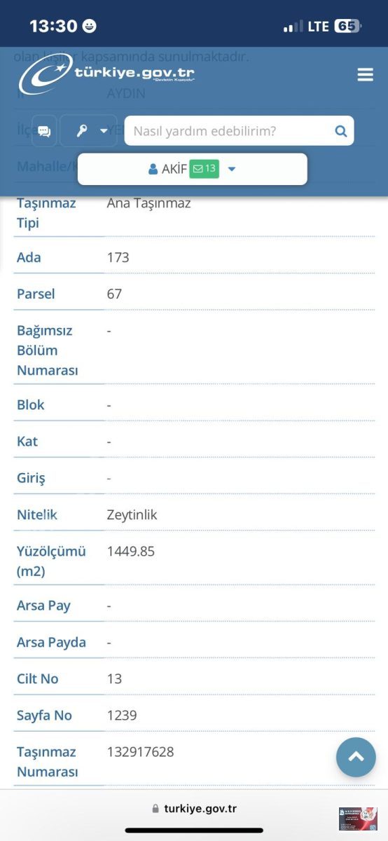 Fotoğraf