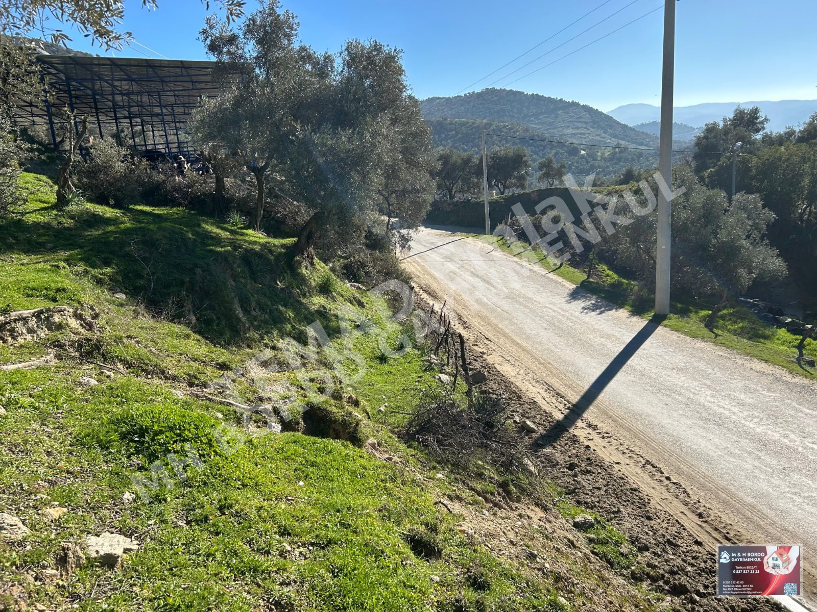 Fotoğraf