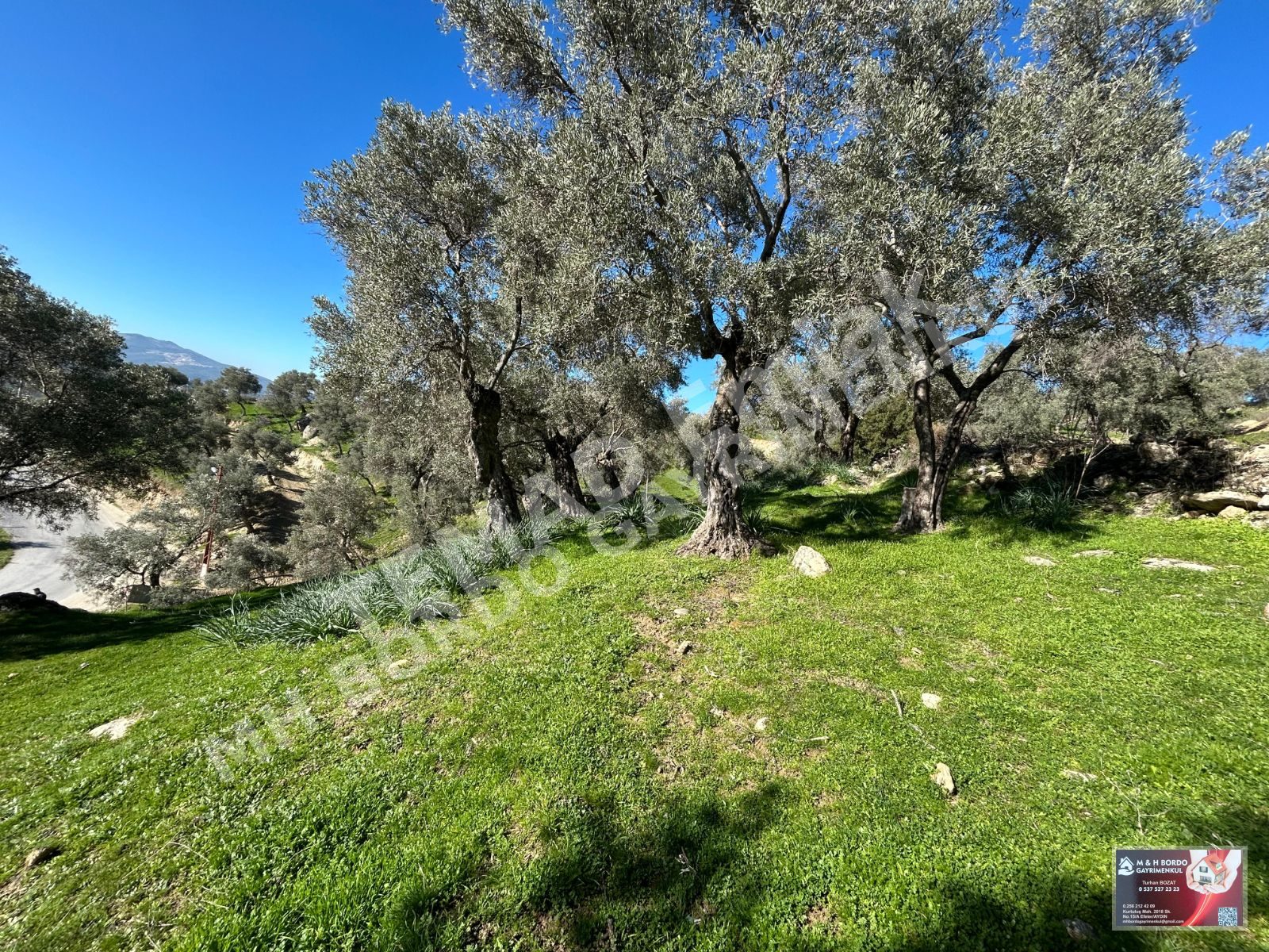 Fotoğraf