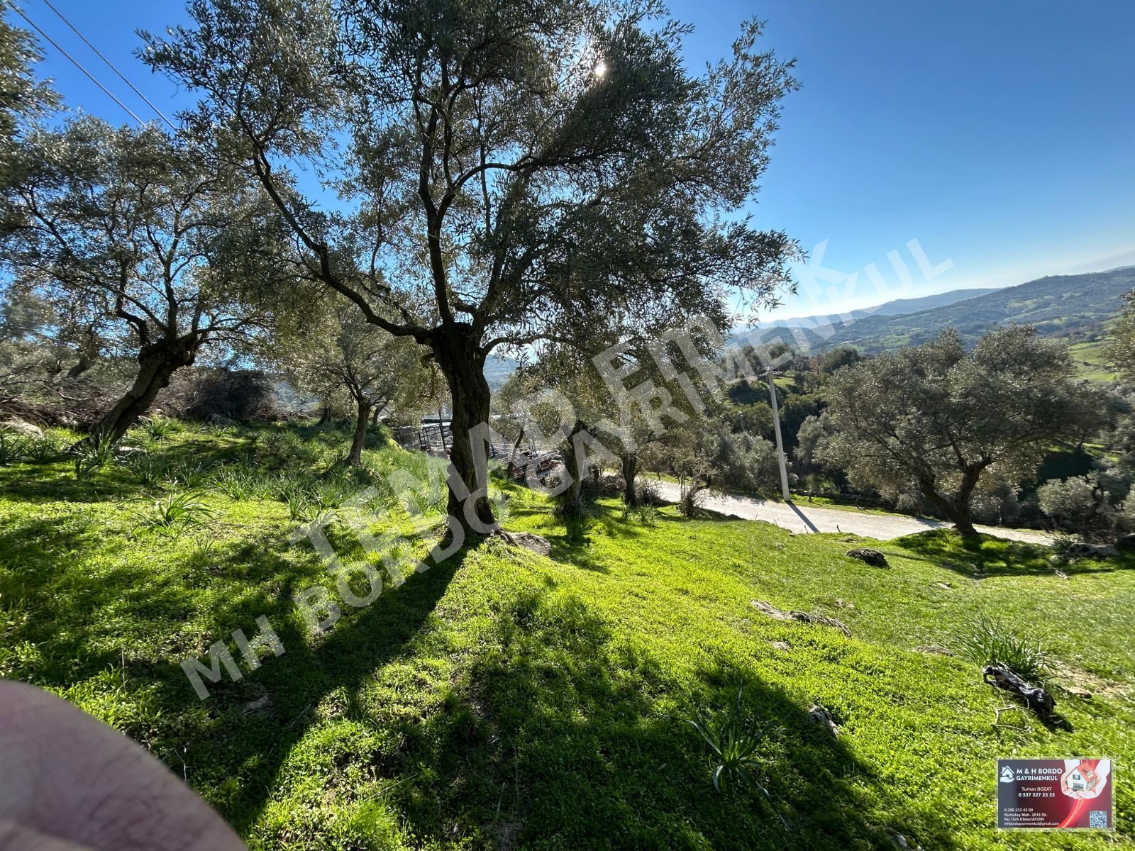 Fotoğraf