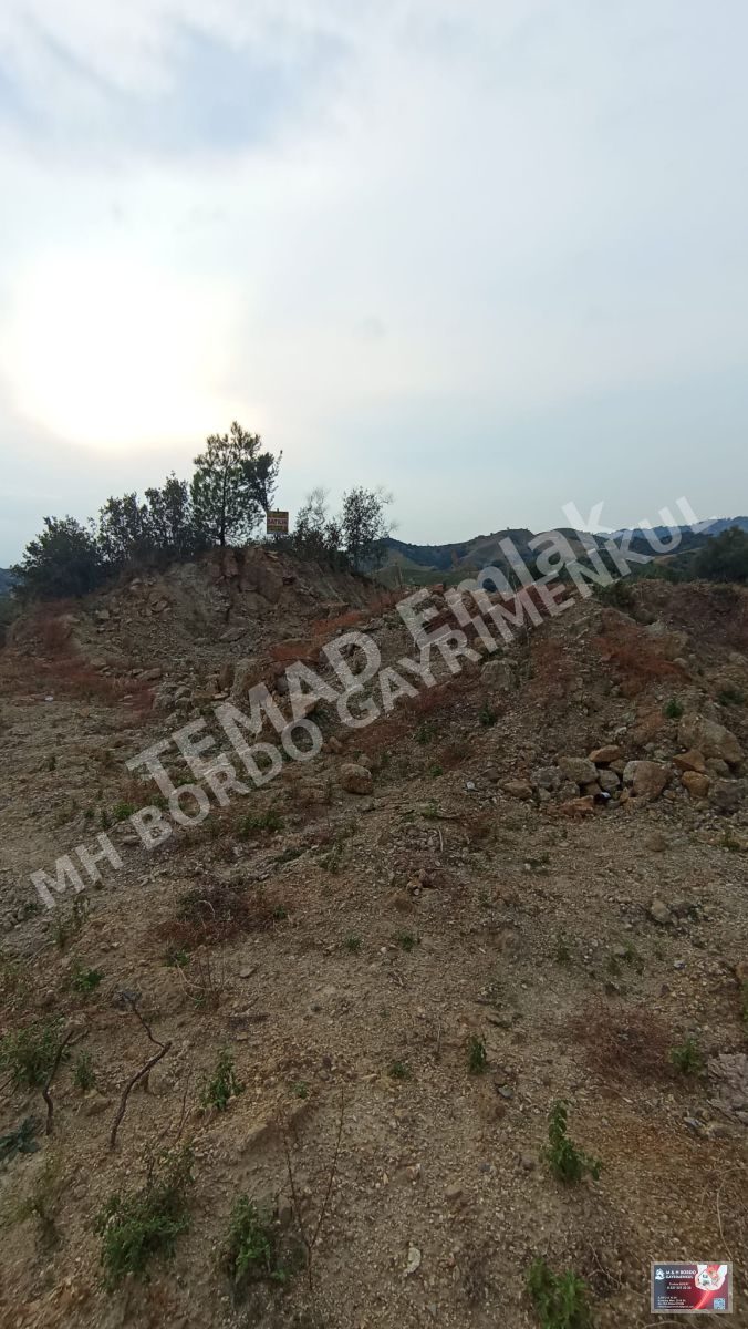 Fotoğraf