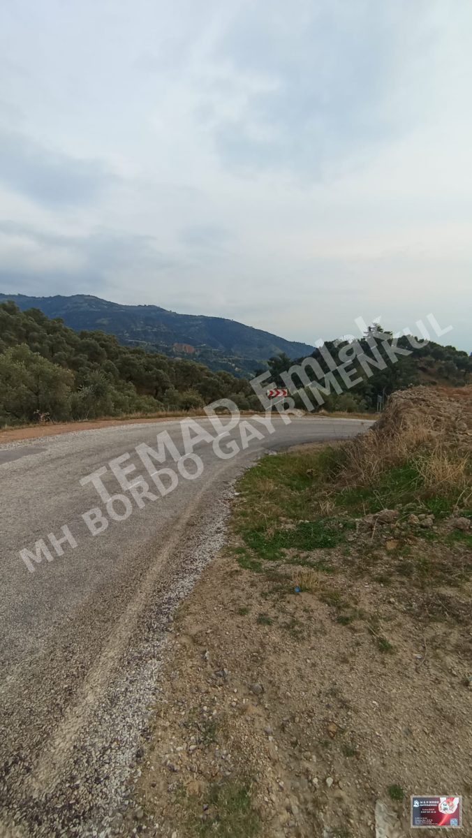 Fotoğraf