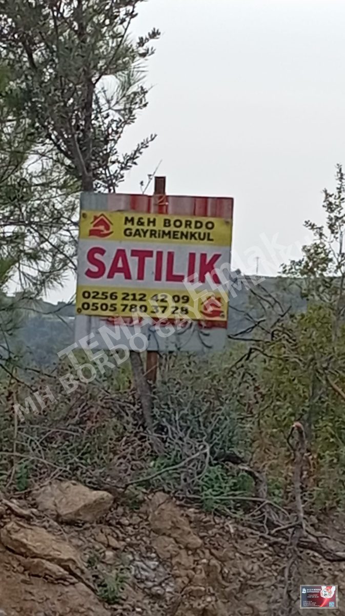 Fotoğraf