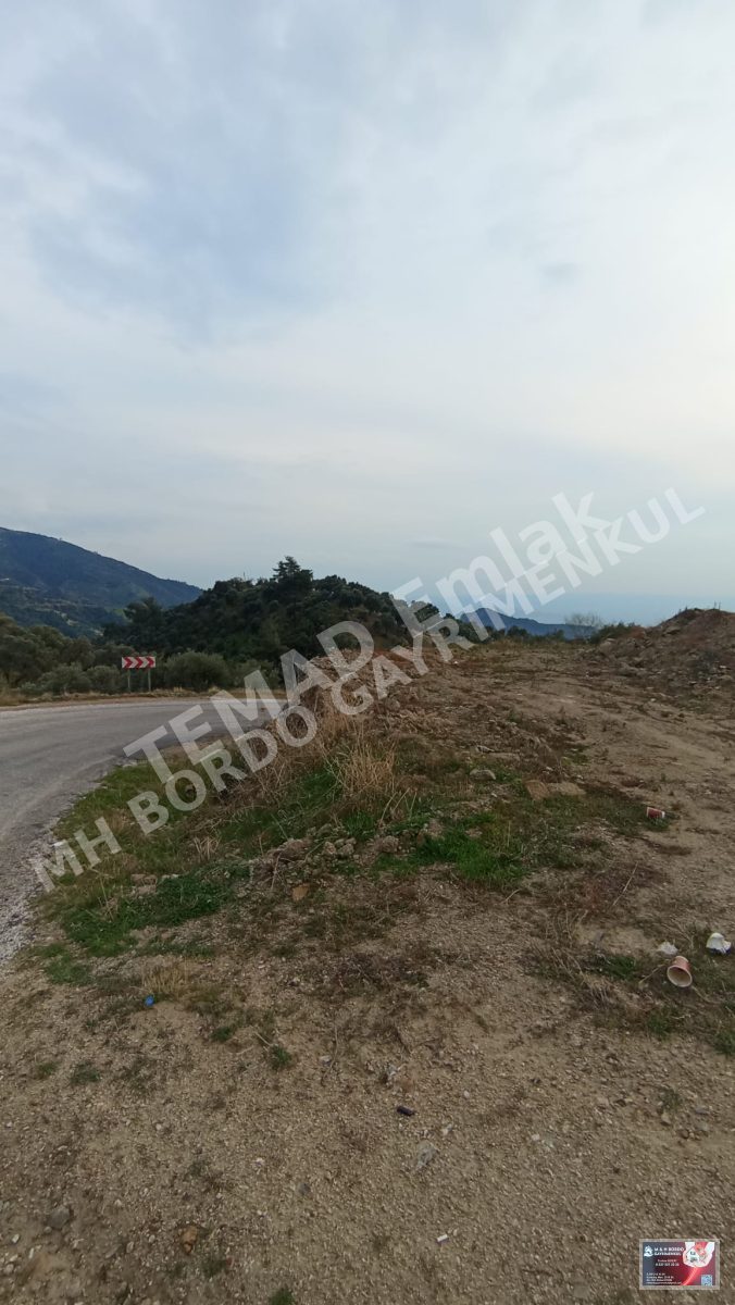 Fotoğraf