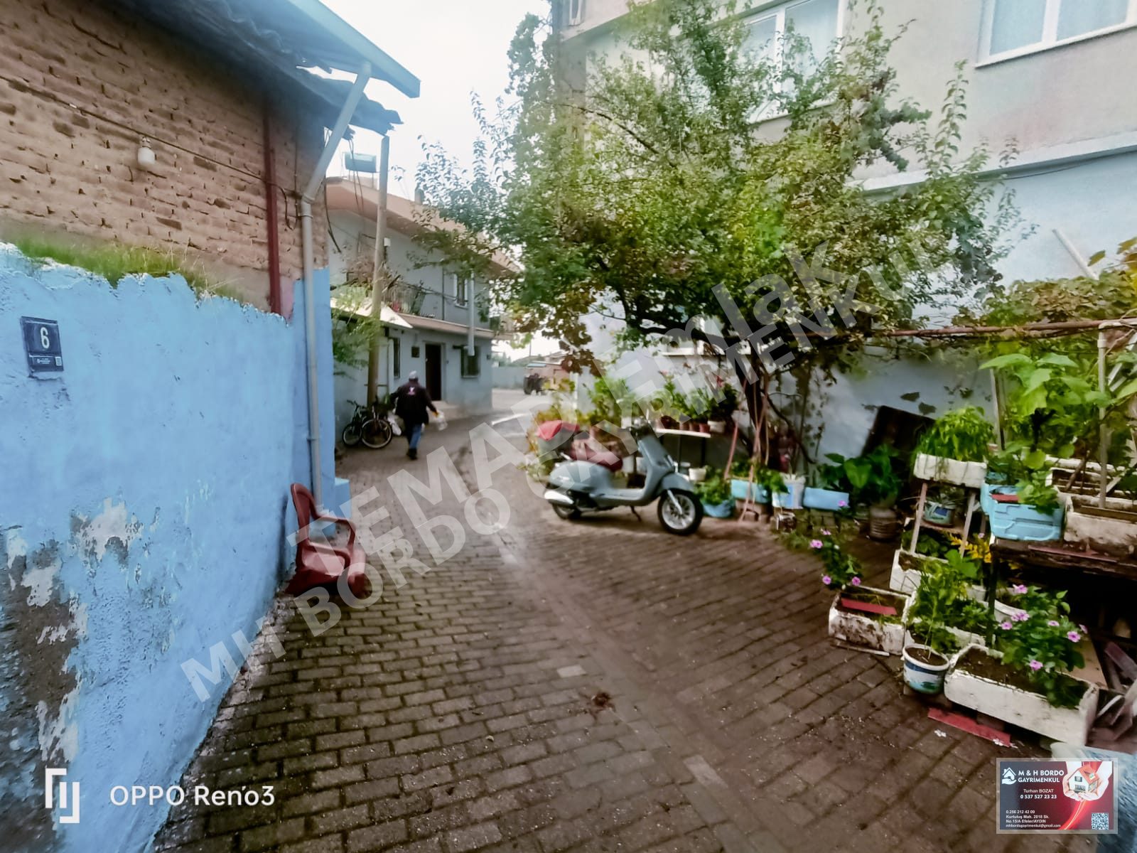 Fotoğraf